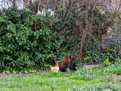 Holiday house Ferienhaus in Deltebre am Strand - Environment photo 31
