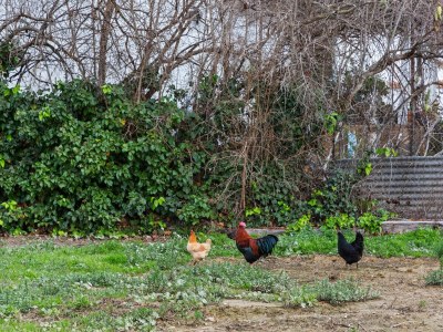 Holiday house Ferienhaus in Deltebre am Strand - Environment photo 32