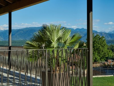 Holiday apartment Nofnerhof 1 - Outdoor photo 6