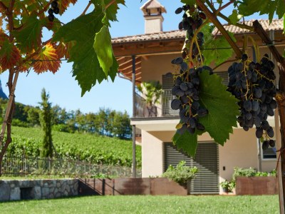 Holiday apartment Nofnerhof 1 - Outdoor photo 8