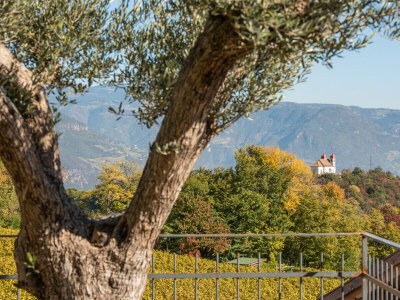 Holiday apartment Nofnerhof 1 - Environment photo 33