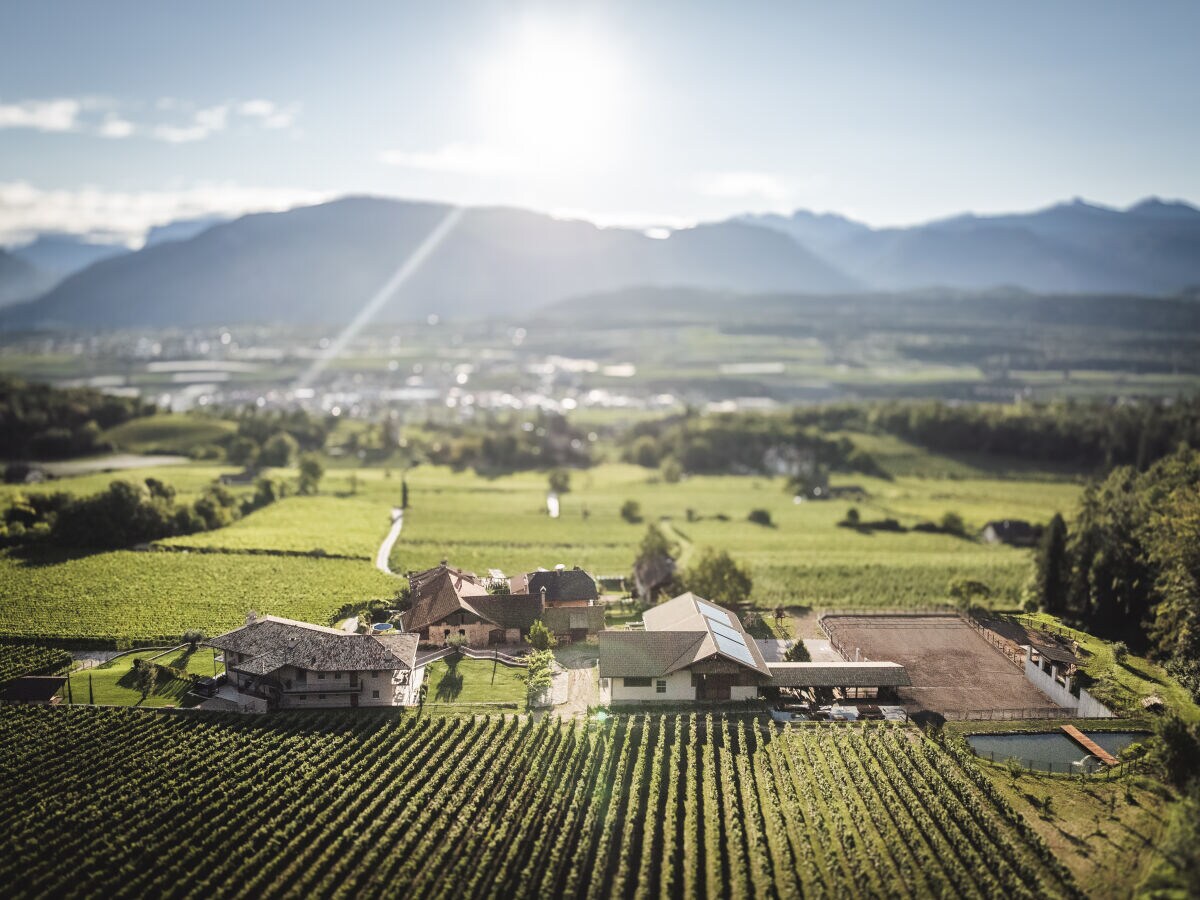 Holiday apartment Nofnerhof 2 - Outdoor photo 4