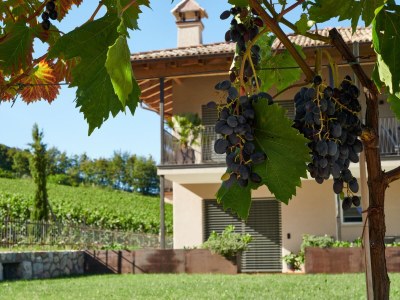 Holiday apartment Nofnerhof 2 - Outdoor photo 3