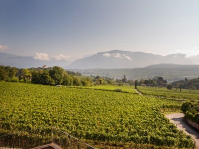 Holiday apartment Nofnerhof 2 - Environment photo 30