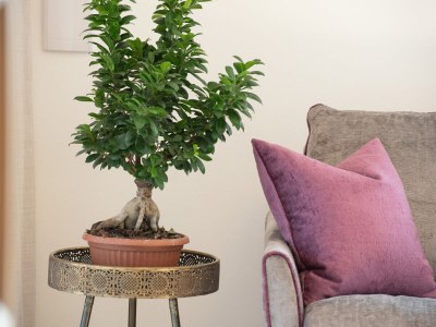 Holiday apartment Nofnerhof 3 - Features photo 23