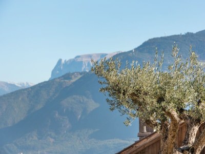 Holiday apartment Nofnerhof 3 - Environment photo 24