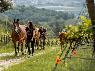 Holiday apartment Nofnerhof 3 - Environment photo 31