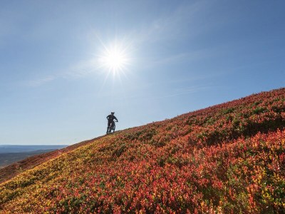 Holiday house Hytte Trysil T2027 - Environment photo 36