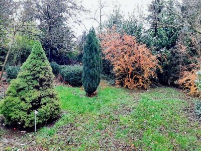 Holiday house Eifel Gartenvilla für Gruppen - Outdoor photo 3