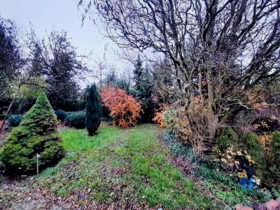 Holiday house Eifel Gartenvilla für Gruppen - Outdoor photo 9