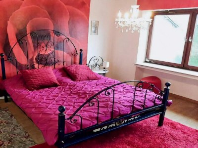 Holiday house Eifel Gartenvilla für Gruppen - Features photo 13