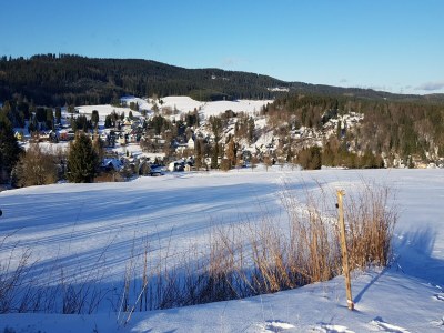Holiday house Cosy holiday home near the ski lift - Environment photo 21