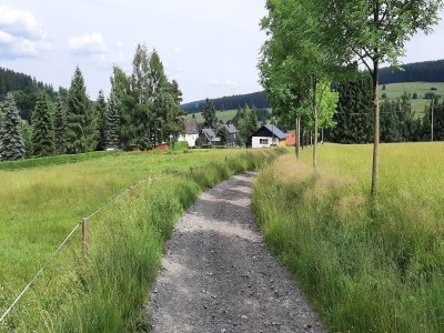 Holiday house Cosy holiday home near the ski lift - Environment photo 31