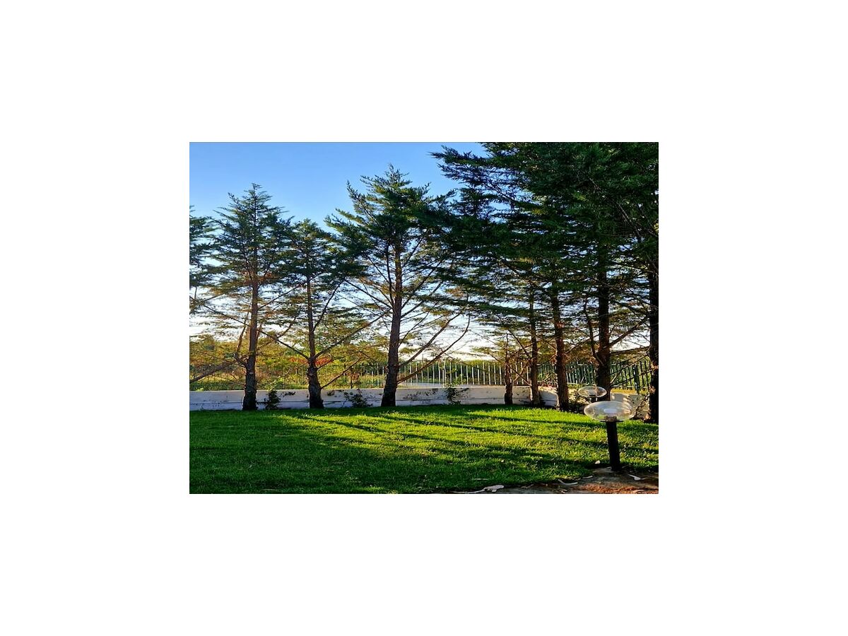 Holiday house Amazing Home in Campania - Outdoor photo 4