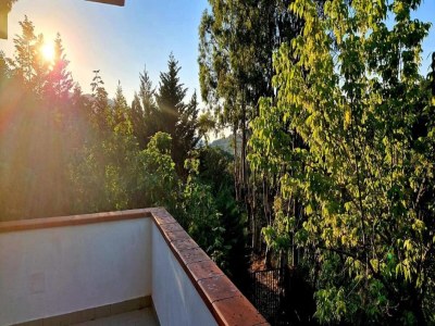 Holiday house Amazing Home in Campania - Outdoor photo 7