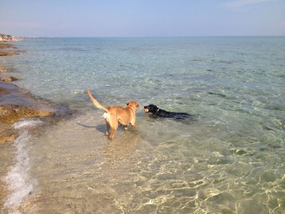 Villa Marvellous Villa Lona with stunning sea view - Environment photo 33