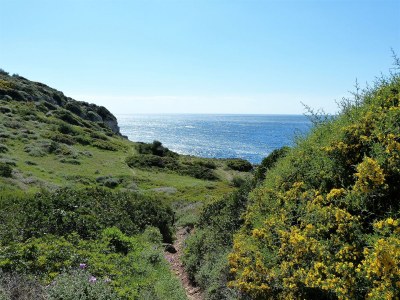 Villa Marvellous Villa Lona with stunning sea view - Environment photo 37