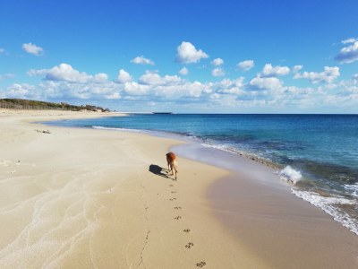 Villa Marvellous Villa Lona with stunning sea view - Environment photo 40