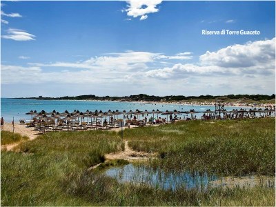 Villa Vera near the beaches - Environment photo 34