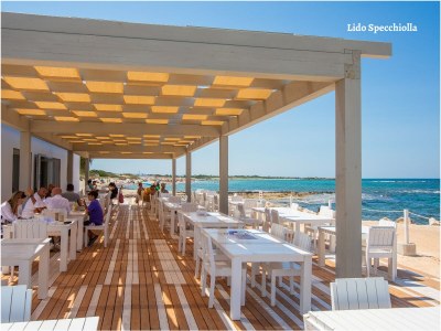 Villa Apulia retreat - private pool - 14 guest - Environment photo 35