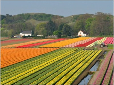 Holiday apartment Marisstella - Environment photo 28