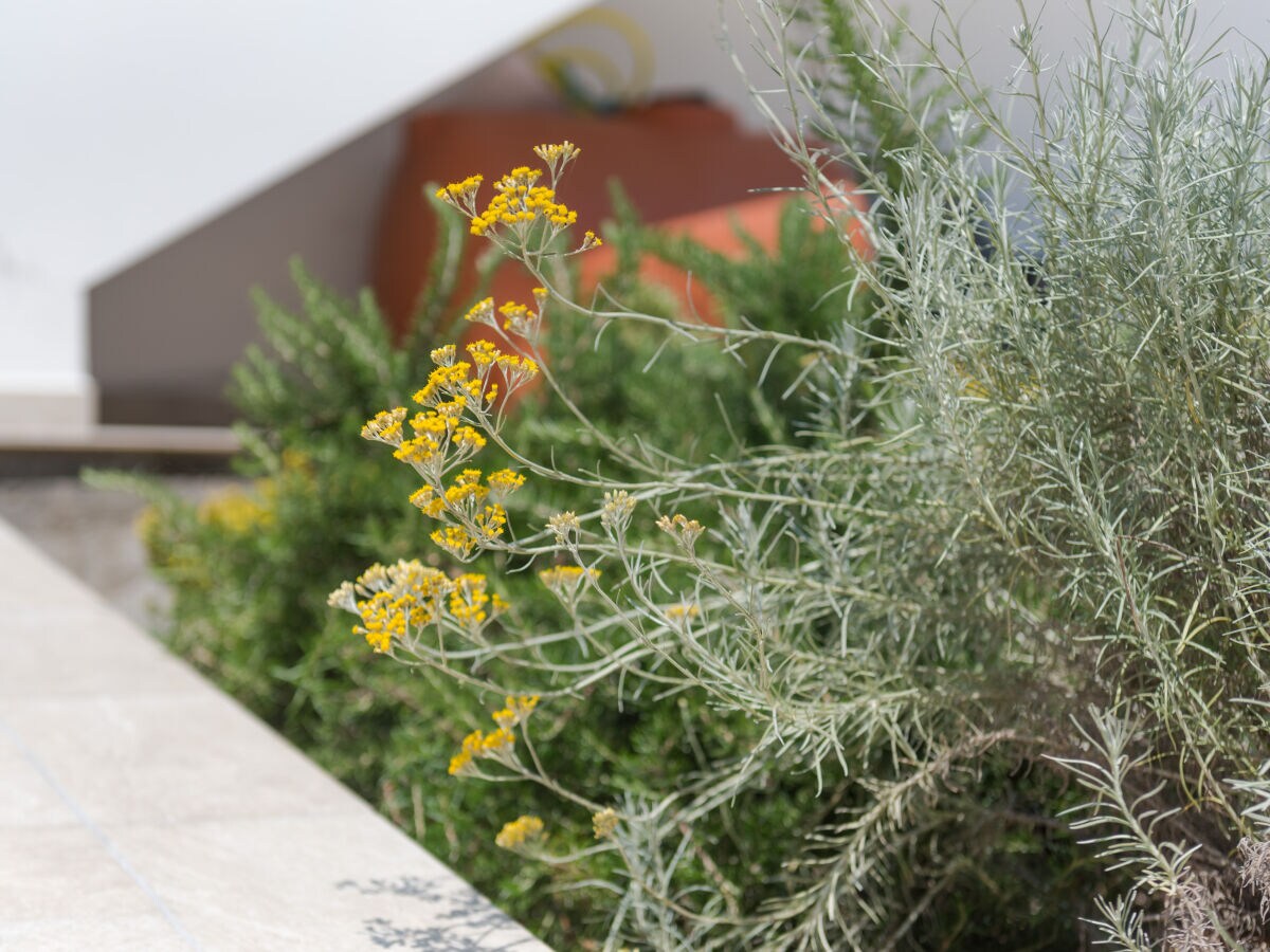 Holiday house OHH Casa Lory - Outdoor photo 5