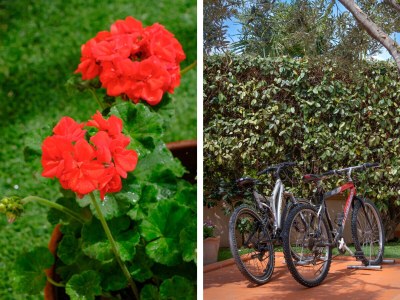 Holiday house OHH Sa Vadde - Outdoor photo 6