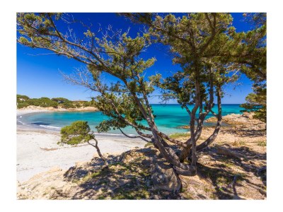 Holiday house OHH Sa Vadde - Environment photo 25