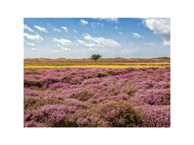 Holiday apartment Holiday apartment for 2 people with balcony - Environment photo 29