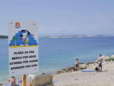 Holiday house Ferienhaus Holek - Environment photo 27