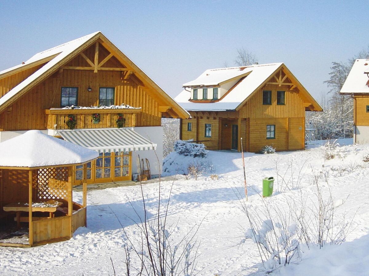 Holiday house Blockhaus in Schlierbach nahe Loipen - Outdoor photo 4