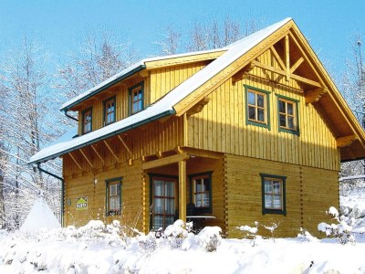 Holiday house Blockhaus in Schlierbach nahe Loipen - Outdoor photo 9