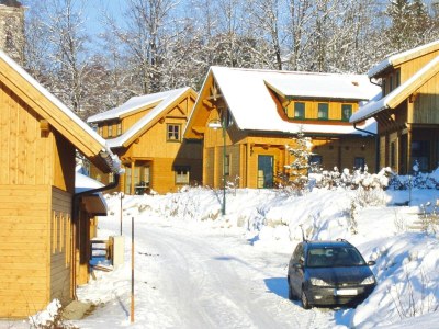 Holiday house Blockhaus in Schlierbach nahe Loipen - Outdoor photo 13