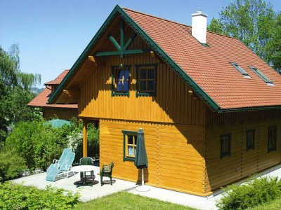 Holiday house Blockhaus in Schlierbach nahe Loipen - Outdoor photo 14