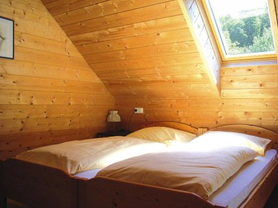 Holiday house Blockhaus in Schlierbach nahe Loipen - Features photo 24