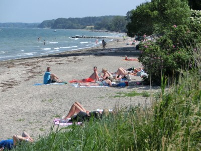 Holiday house Struve 1 auf dem Kastanienhof - Environment photo 23