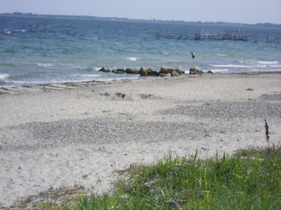 Holiday house Struve 1 auf dem Kastanienhof - Environment photo 25