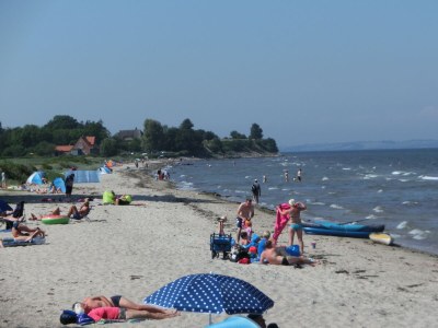 Holiday house Struve 1 auf dem Kastanienhof - Environment photo 27