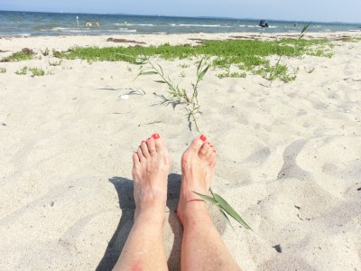 Holiday house Struve 1 auf dem Kastanienhof - Environment photo 28