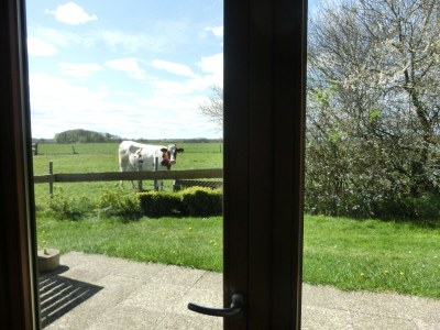 Holiday house Struve 1 auf dem Kastanienhof - Environment photo 30