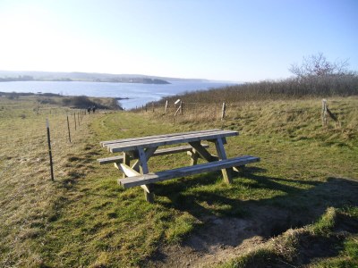 Holiday house Struve 1 auf dem Kastanienhof - Environment photo 40