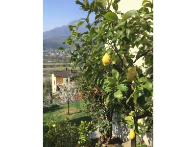 Holiday apartment Clara - Outdoor photo 6