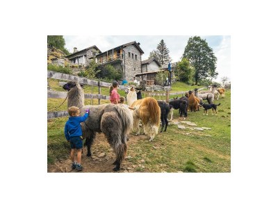 Holiday apartment Clara - Outdoor photo 19