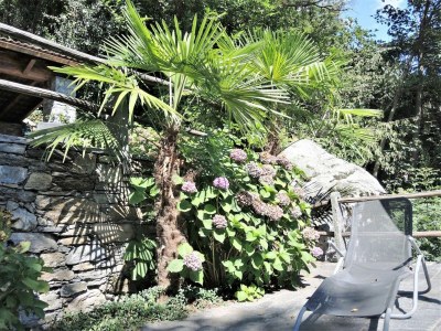 Holiday house Rustico Gatto - Outdoor photo 8