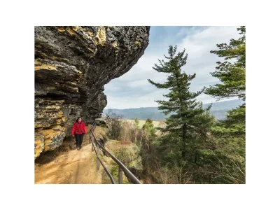 Holiday house Guest house "Zum Lilienstein" - Environment photo 20
