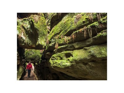 Holiday house Guest house "Zum Lilienstein" - Environment photo 22