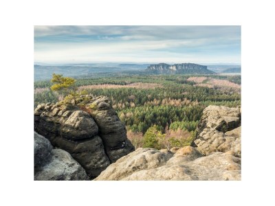 Holiday house Guest house "Zum Lilienstein" - Environment photo 25