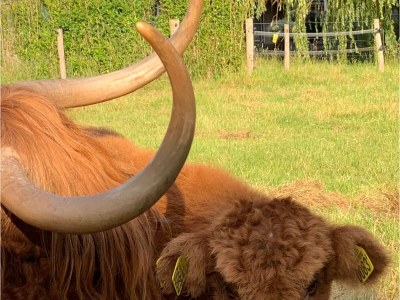 Holiday house Seaside Home - Environment photo 20