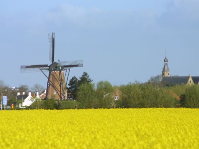 Apartment Branding B41 - Environment photo 18