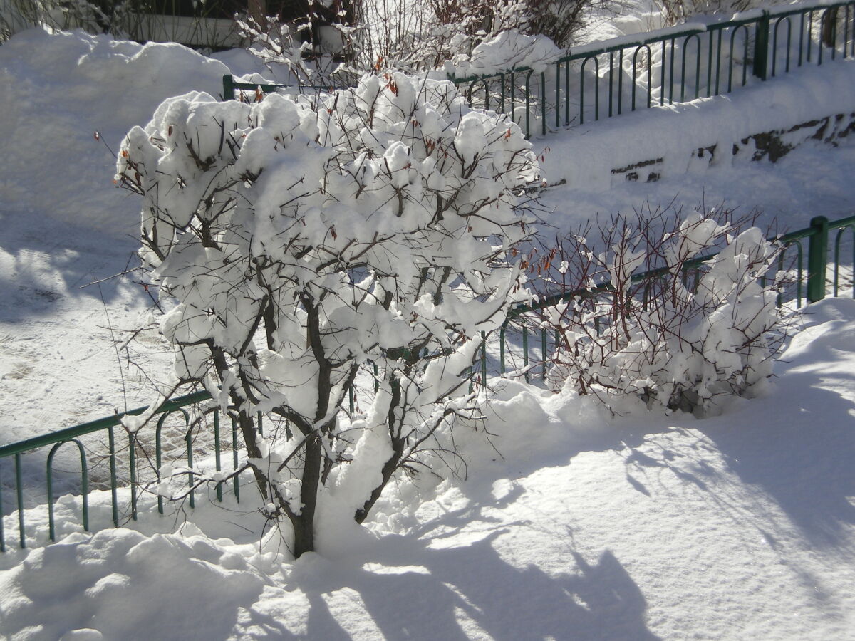 Apartment Mussner - App. Jubas - Outdoor photo 4